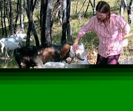 goats & friend